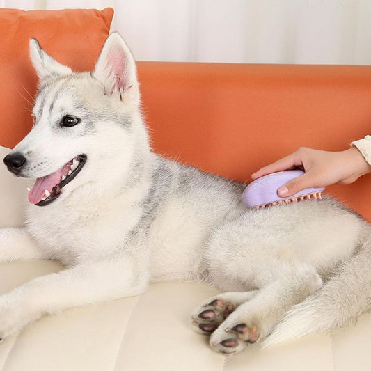 ⁠Cepillo Vaporizador para Mascotas